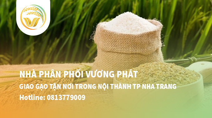 Vương Phát Nha Trang | Nhà Phân Phối Tiêu Dùng Giá Tốt